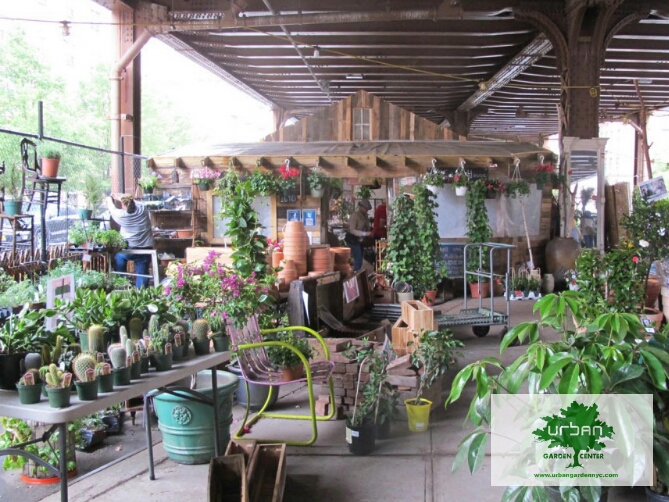 Inside the Urban Garden Center