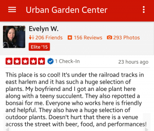 Yelp Review