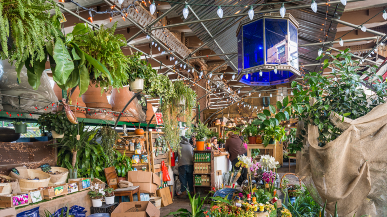 Check Out Our Feature On Manhattan Sideways Urban Garden Center