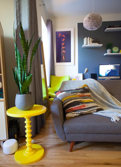 Apartment Therapy Featuring Our Plants Urban Garden Center For The Full Article Click Here S Apartmenttherapy House Tour A Bold Colorful Bronx Studio 255695