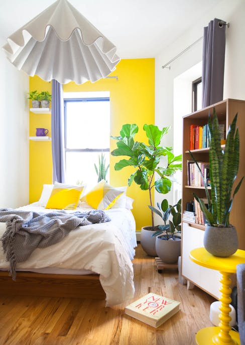 Apartment Therapy Featuring Our Plants Urban Garden Center For The Full Article Click Here S Apartmenttherapy House Tour A Bold Colorful Bronx Studio 255695