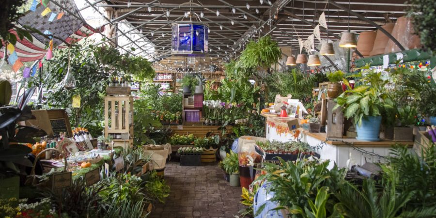Urban Garden Center Top 10 Plant Stores In NYC Urban Garden Center Top 10 Plant Stores In NYC