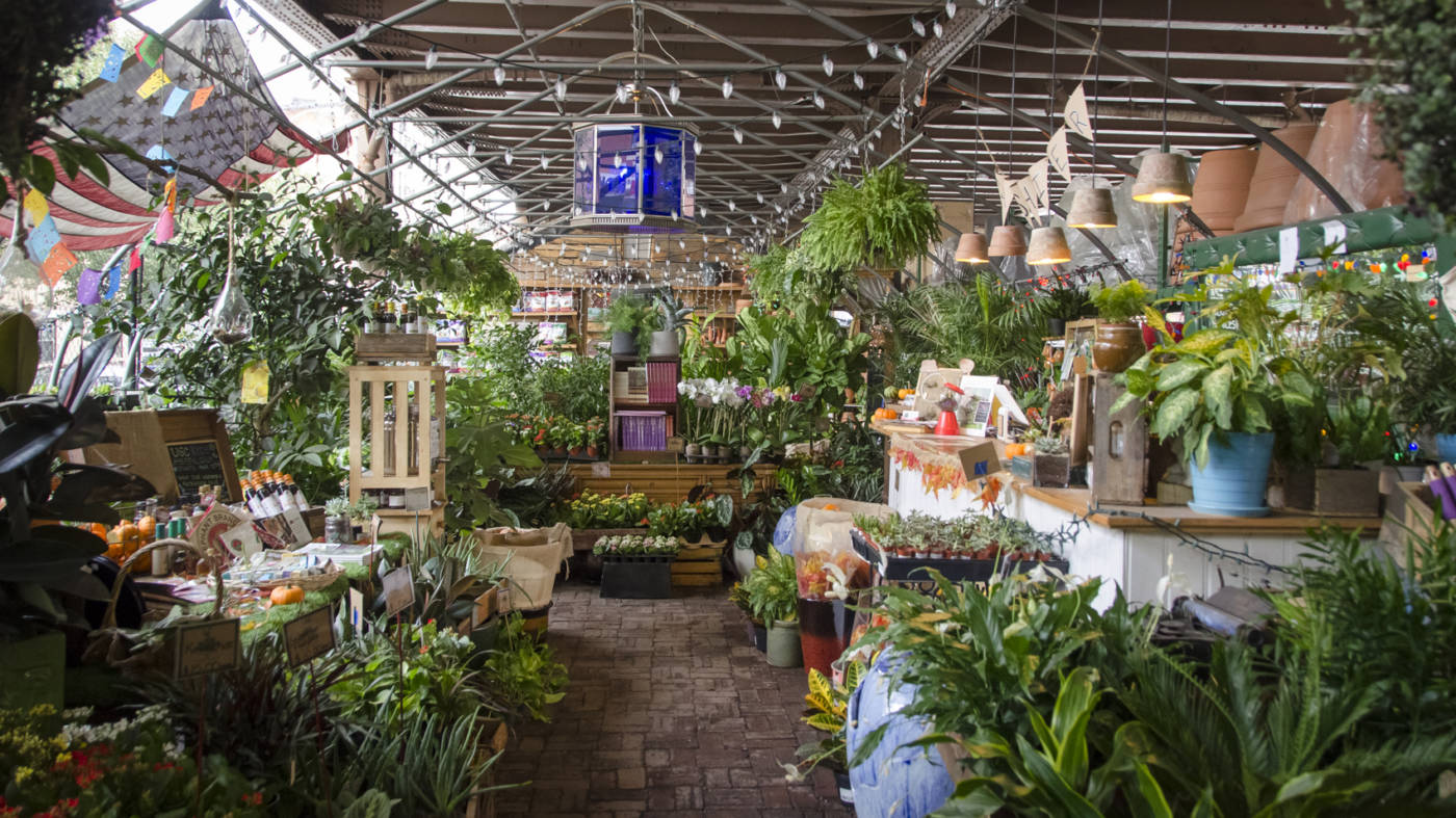 شراء حديقة النباتات على الإنترنت بروكلين