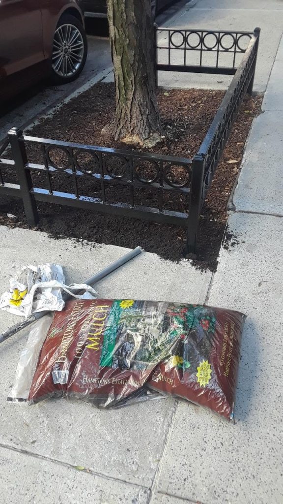 Adding Mulch to Tree Guard