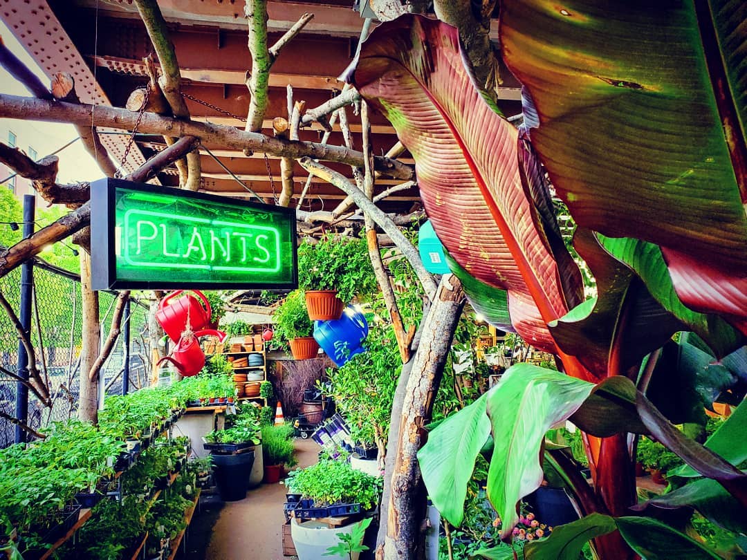 Urban Garden Center Now Open Daily 9 To 7