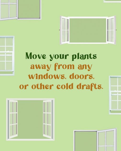 Move your plants away from any windows, doors, or other cold drafts.