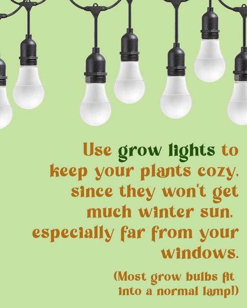 Use grow lights to keep your plants cozy.