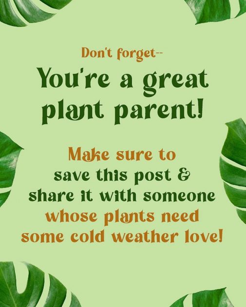 don't forget you're a great plant parent!