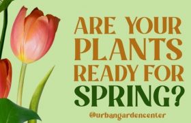 Are your plants ready for spring? @urbangardencenter