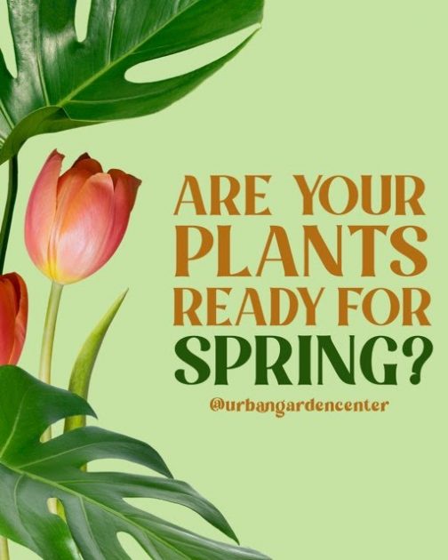 Are your plants ready for spring? @urbangardencenter