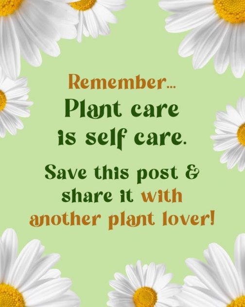 Remember... Plant care is self care. Save this post & share it with another plant lover!