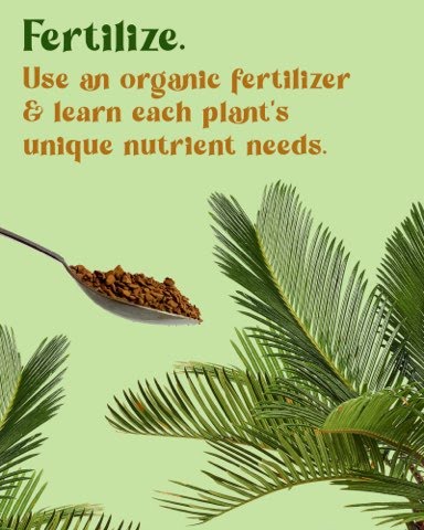 Fertilize. Use an organic fertilizer & learn each plant's unique nutrient needs.