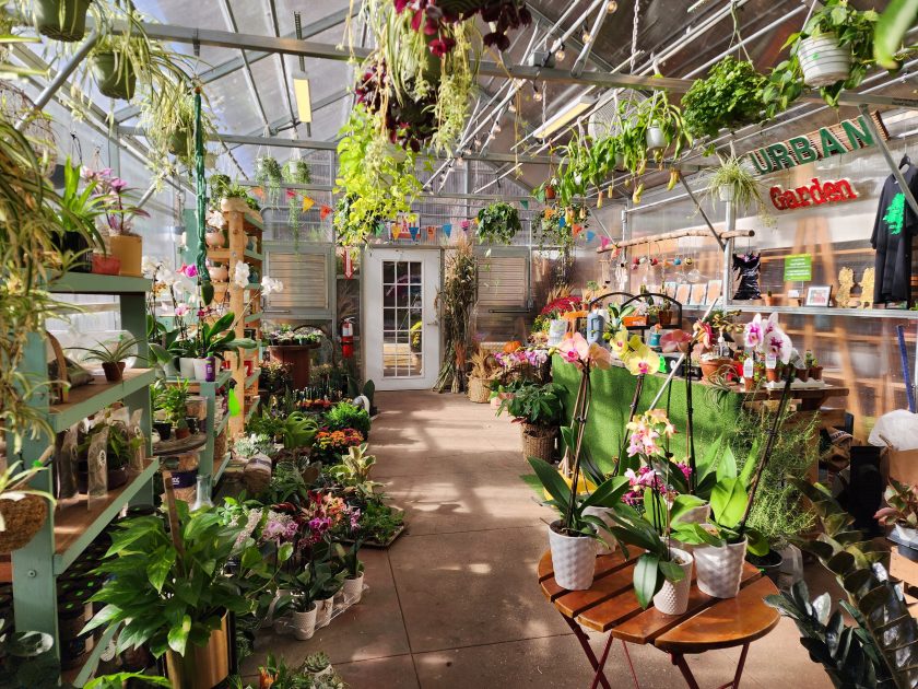 interior view of urban garden center 