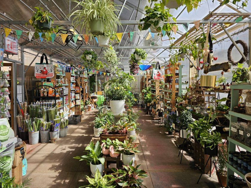 picture of greenhouse shop interior