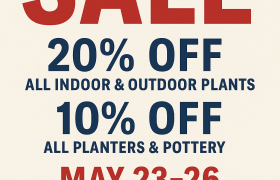 MEMORIAL DAY WEEKEND SALE 🇺🇸 20% OFF all indoor & outdoor plants 10% OFF all planters & pottery May 23–26 | In-store only Stock up for your summer garden — while supplies last! 📝 Restrictions apply. Cannot be combined with other offers. All sales final.